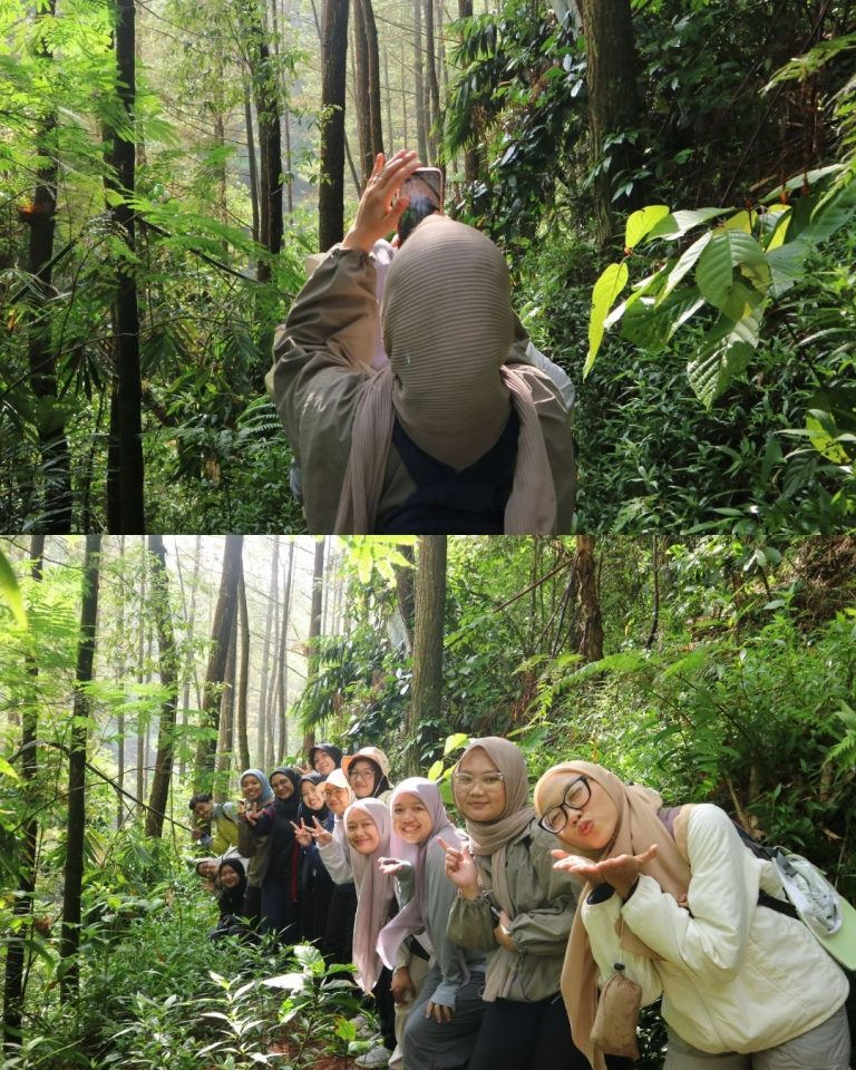 Desain tanpa judul (1)